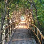 Destinasi Wisata Bumiayu dengan Pemandangan Luar Biasa Dermaga Taman Mangrove