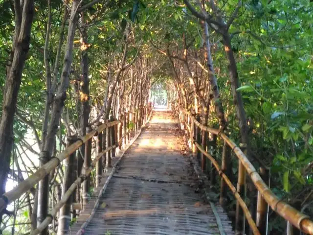 Destinasi Wisata Bumiayu dengan Pemandangan Luar Biasa Dermaga Taman Mangrove